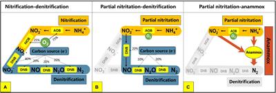 Achieving Partial Nitritation by Treating Sludge With Free Nitrous Acid: The Potential Role of Quorum Sensing